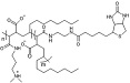 Biotinylated PMAL-C8（#BP5008）化学構造式